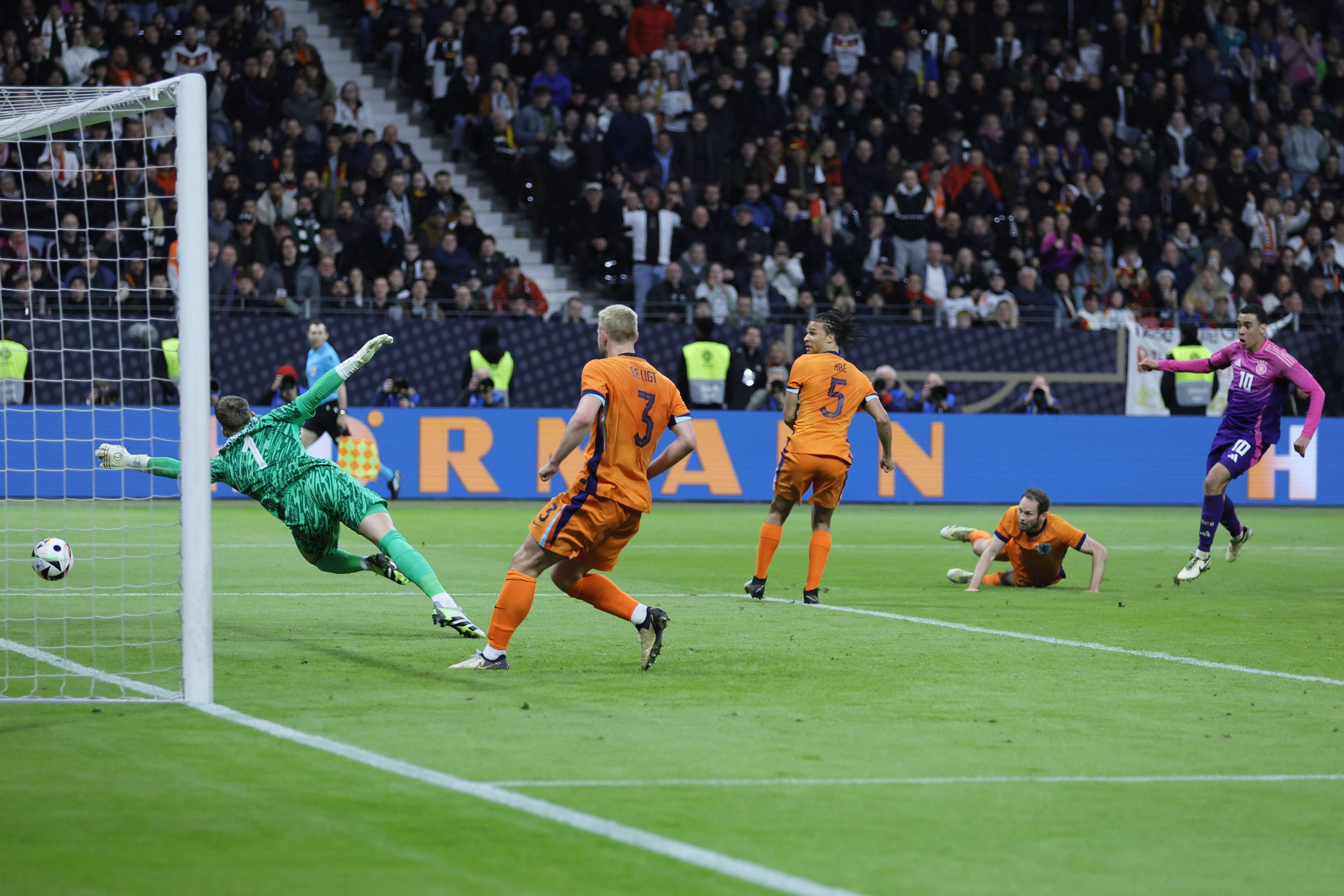 但不是放飞 但不是放飞